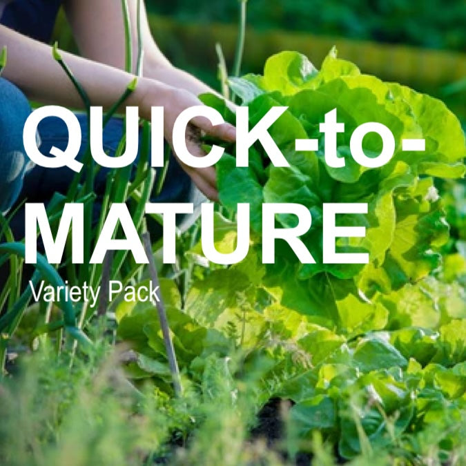 Quick-to-Mature Garden Variety Pack with 15 fast-growing seed varieties ready in 45 days or less