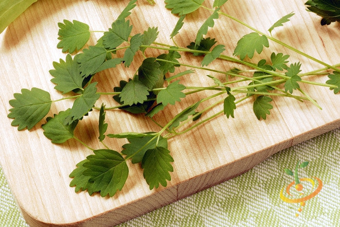 Salad Burnet seeds from SeedsNow, showing small seed packets for planting this aromatic herb.