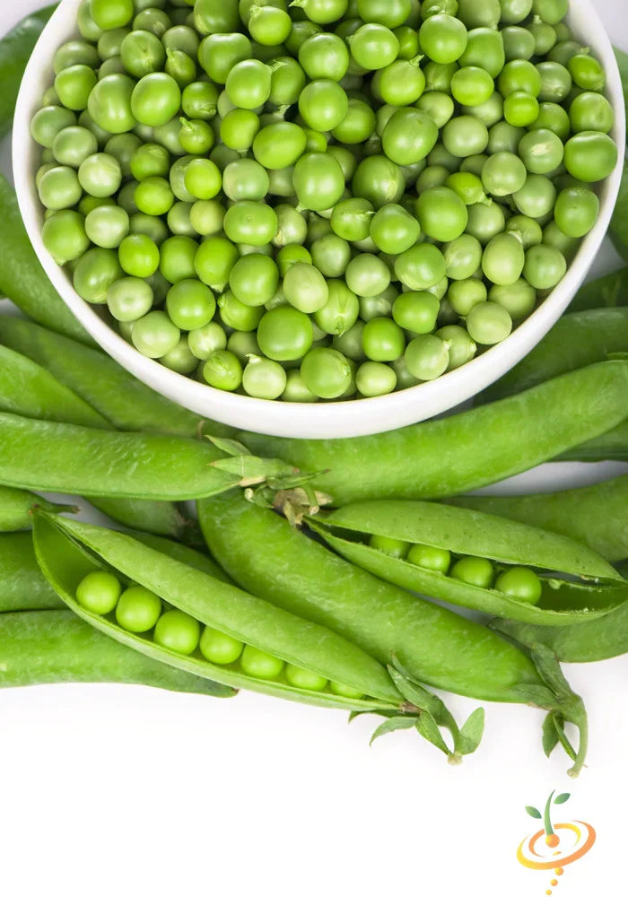 Green Arrow pea seeds from SeedsNow, showing vibrant green pea pods and fresh pea seeds ready for planting.