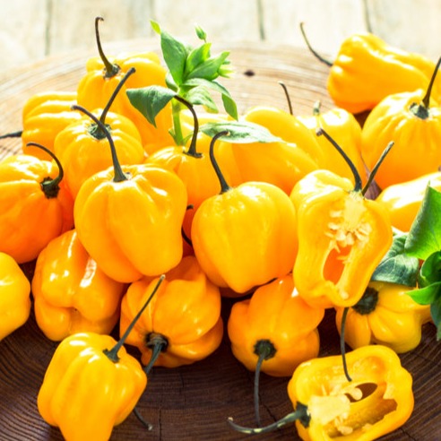 Pepper (Hot) - Habanero, Lemon π₯π₯π₯π₯ - SeedsNow.com
