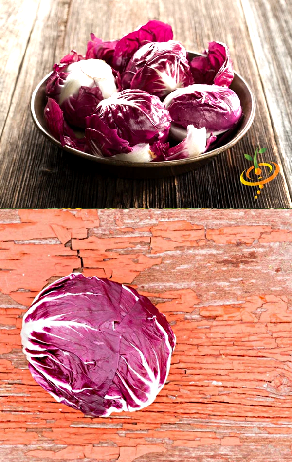 All Radicchio (Cichorium intybus var. foliosum) Seeds