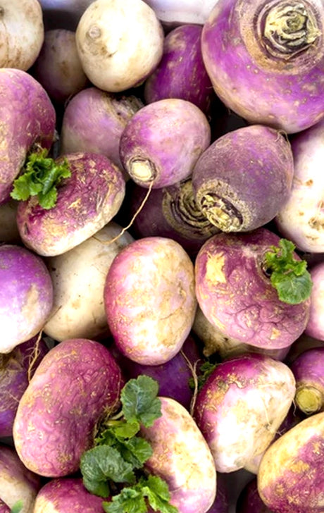 All Turnip Seeds