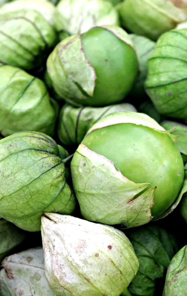 All Tomatillo Seeds