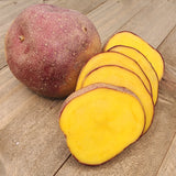 Potato (Early-Season) - Cheshire (Organic rounds) *pre-order*