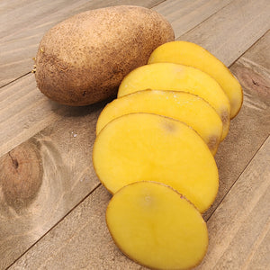 Potato (Mid-Season) - German Butterball (Organic rounds)