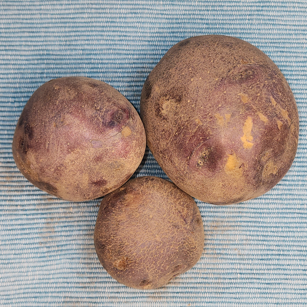 Potato (Mid-Season) - Huckleberry Gold (Organic rounds)