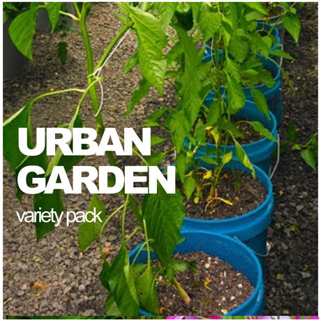 All-in-One Urban Garden Variety Pack - SeedsNow.com