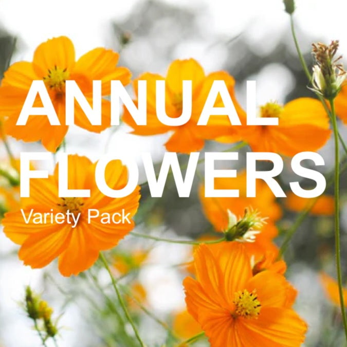 *NEW!* Annual Flowers Variety Pack