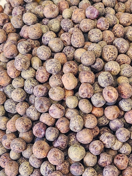 Pea microgreens with brown speckled seeds from SeedsNow, showing fresh, sprouted microgreens in a close-up view.