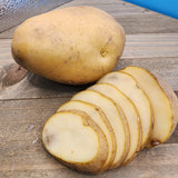 Potato (Mid-Season) - Kennebec (Organic rounds)