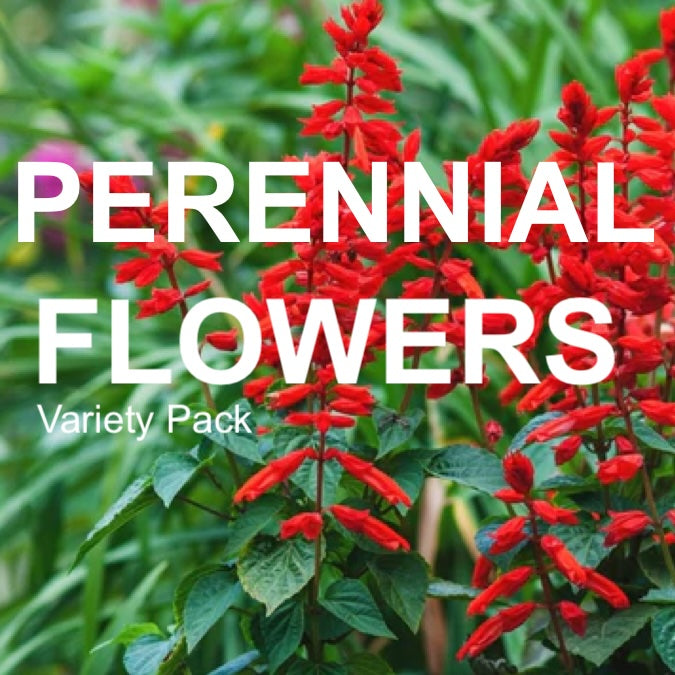 All-in-One Perennial Flower Garden Variety Pack