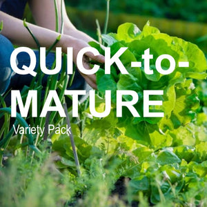 Quick-to-Mature Garden Variety Pack with 15 fast-growing seed varieties ready in 45 days or less