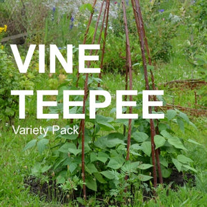 All-in-One Vine Teepee Variety Pack