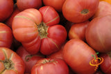 Tomato - Brandywine, Pink [INDETERMINATE].