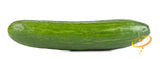 Cucumber - Ashley.