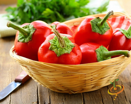 Basket of fresh red sweet pimento peppers with green stems on a wooden table
