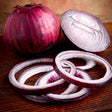 Onion - Red Burgundy (Short Day) - SeedsNow.com
