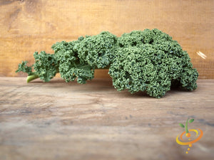 Kale - Classic, Blue Curled Scotch.