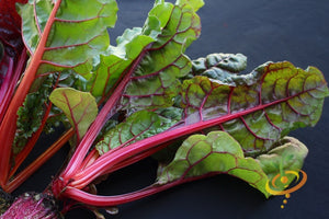 Swiss Chard - Magenta Sunset.