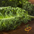 Kale - Vates - SeedsNow.com