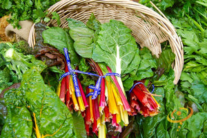 Swiss Chard - Rainbow Mix.