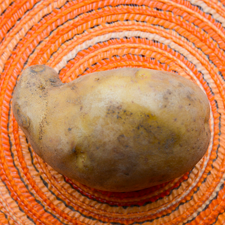 Early season Cal White potato seed from SeedsNow-Potatoes, shown as fresh potato seed with smooth white skin.