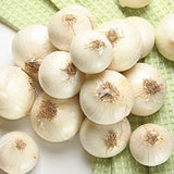 Onion (Sets) - Ebenezer, White - SeedsNow.com