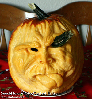 Pumpkin - Jack O' Lantern.