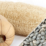 Gourd - Luffa - SeedsNow.com