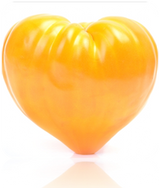 Tomato - Oxheart, Yellow (Indeterminate) - SeedsNow.com
