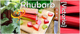 Rhubarb - Victoria.