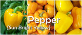 Pepper - Sun Bright Yellow.