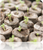 Seed Starting Soil Pellets